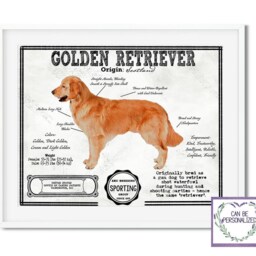 Golden Retriever Antique Architecture Patent Drawing Print/Wall Art Retriever Gift/ Akc Breed Info/Home Decor/ - thumbnail 2
