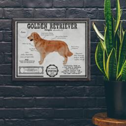 Golden Retriever Antique Architecture Patent Drawing Print/Wall Art Retriever Gift/ Akc Breed Info/Home Decor/ - thumbnail 3