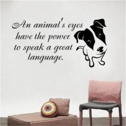 Animal Wall Decals An Animals Eyes Have The Quote Dog Decal Grooming Salon Vinyl Sticker Nursery Pet Shop Home Decor Ms74 - thumbnail 1