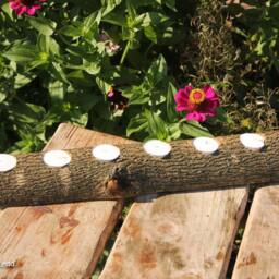 Tealight Candle Log Holder, Large 6-Candle Rustic Wood - thumbnail 4
