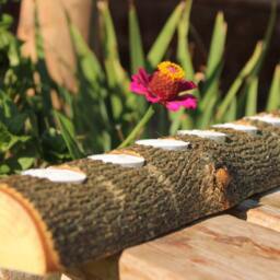 Tealight Candle Log Holder, Large 6-Candle Rustic Wood - thumbnail 2