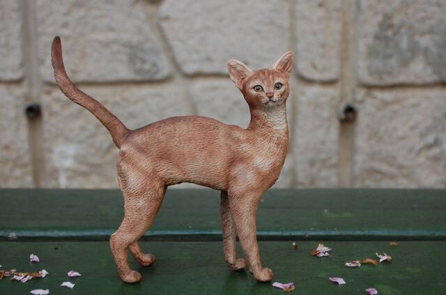 Abyssinian Cat Figurine(Shall We Take A Walk Together? - image 1