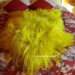 Yellow Icelandic Dyed Genuine Sheepskin Lambskin Sheep Skin Rug Pelt Long Wool Soft Throw #1, Schaffell, Hygge - thumbnail 2