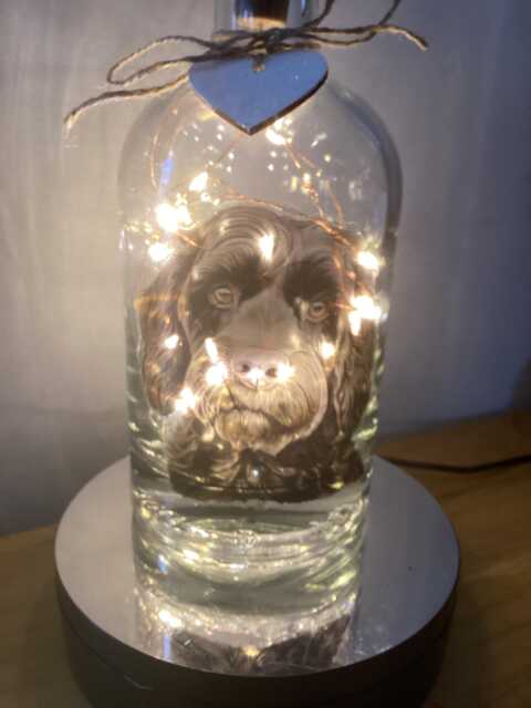 Cockapoo Light Up Bottle, Bottle Lamp With Gift Messaging Service & Bag