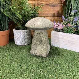 stone Garden Traditional Toadstool Mushroom 2 Piece Concrete Ornament - thumbnail 3