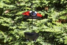 Handmade Ladybird Bird Feeder. Outdoor Metal Hanging - 2-2B