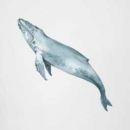 Humpback Whale Wall Decal For Ocean Nursery Or Kids Room - Sea Life Fabric Sticker Bedroom Decor Baby Playroom - thumbnail 2