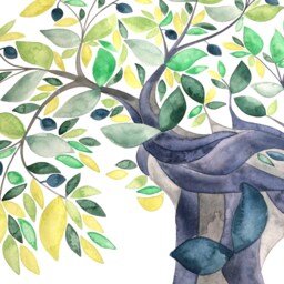Jewish Family Tree Watercolor Painting With Hebrew Names Secular Olive Tree, Custom Ancestry Tree Of Life - thumbnail 2