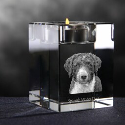 Spanish Water Dog - Crystal Candlestick With Dog, Souvenir, Decoration, Limited Edition, Collection - thumbnail 2