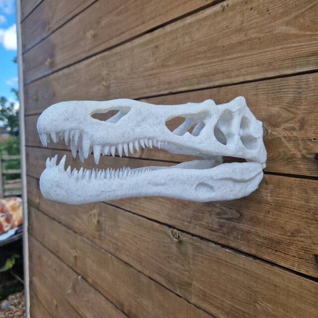 Irritator Skull Wall Art - Dinosaur Mount- 3D Printed - image 1