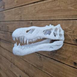 Irritator Skull Wall Art - Dinosaur Mount- 3D Printed - thumbnail 3