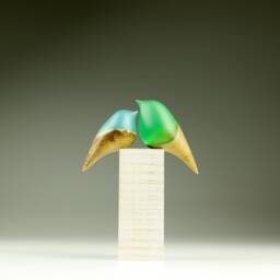 Duo Love Birds - 66 - thumbnail 1