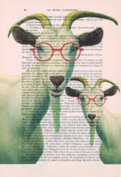 Two Clever Goats With Spectacles, Animal Painting, Decorative Art, Goat Print, Kids Room, Bubblegum, Poster - thumbnail 2