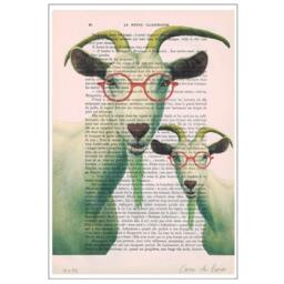 Two Clever Goats With Spectacles, Animal Painting, Decorative Art, Goat Print, Kids Room, Bubblegum, Poster - thumbnail 3
