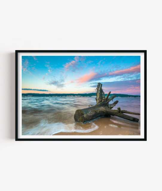 Driftwood Beach Photography Print - Coastal Ocean Wall Art Poster Seaside Home Decor - image 1
