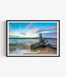 Driftwood Beach Photography Print - Coastal Ocean Wall Art Poster Seaside Home Decor - thumbnail 1