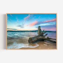 Driftwood Beach Photography Print - Coastal Ocean Wall Art Poster Seaside Home Decor - thumbnail 2