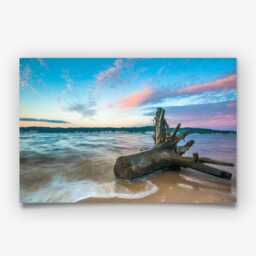 Driftwood Beach Photography Print - Coastal Ocean Wall Art Poster Seaside Home Decor - thumbnail 3