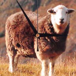 Sheep Wall Clock - Decoupage Photo Herdwick Brown Farm Animal Lake District - thumbnail 3