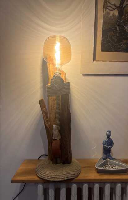 Driftwood Lamp N 5 - image 1