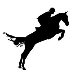 Equestrian Rider Jumping Sports - Wall Decal Custom Vinyl Art Stickers - thumbnail 2