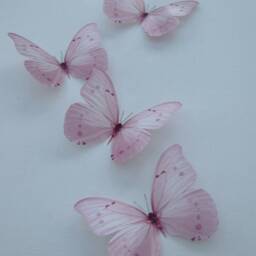 Pastel Pink 3D Butterfly Wall Decor Nursery, Baby Shower - Set Of 6 - thumbnail 3