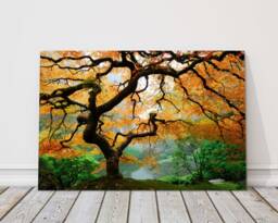 Autumn Maple Tree Canvas Print Wall Decor For Home Or Office - Interior Decor. Ideal Gift Birthday Present - thumbnail 1