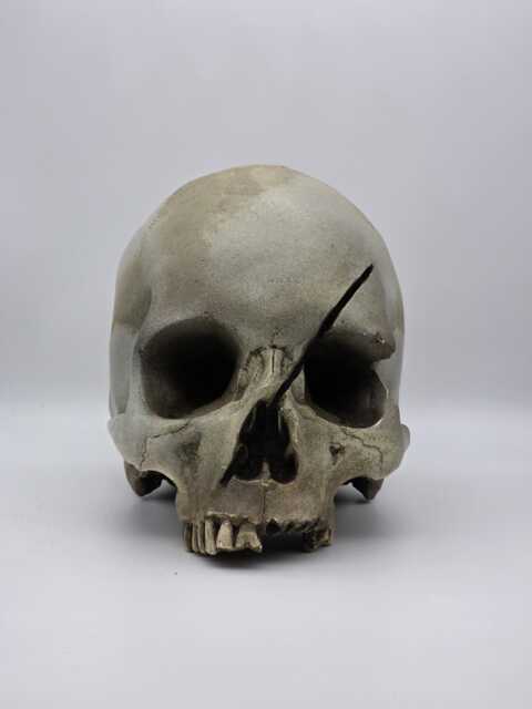 Axed. Human Skull Replica . Realistic Plaster Of Paris Life Size Replica - image 1