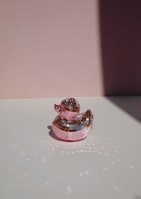 Disco Duck Decor - image 1