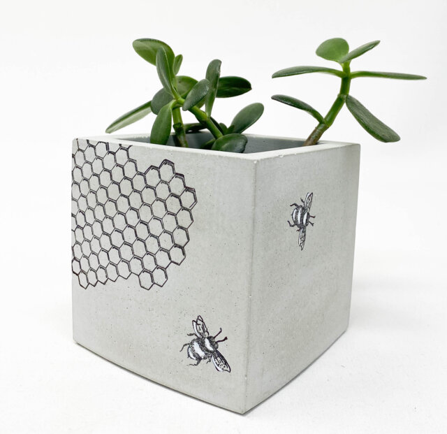 Concrete Planter, Square, Cube, Bees & Honeycomb Succulent Cement Modern Industrial - image 1