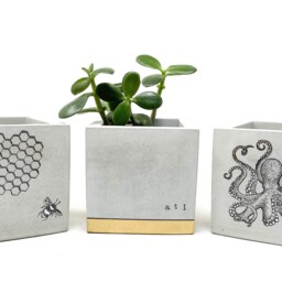 Concrete Planter, Square, Cube, Bees & Honeycomb Succulent Cement Modern Industrial - thumbnail 4