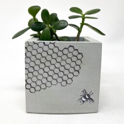 Concrete Planter, Square, Cube, Bees & Honeycomb Succulent Cement Modern Industrial - thumbnail 2