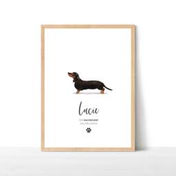 Personalised Dachshund Print, Pet Portrait, Dog Print Wall Decor, Lover Gift, Decor - thumbnail 1