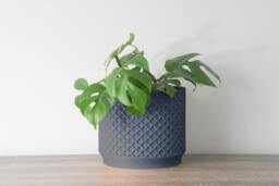 "Carolina Planter With Drainage & Saucer in Stone Blue, Lattice 3D-Printed Plant Pot, Small To Large Sizes 4"" 5"" 6"" 7"" 8" - thumbnail 1