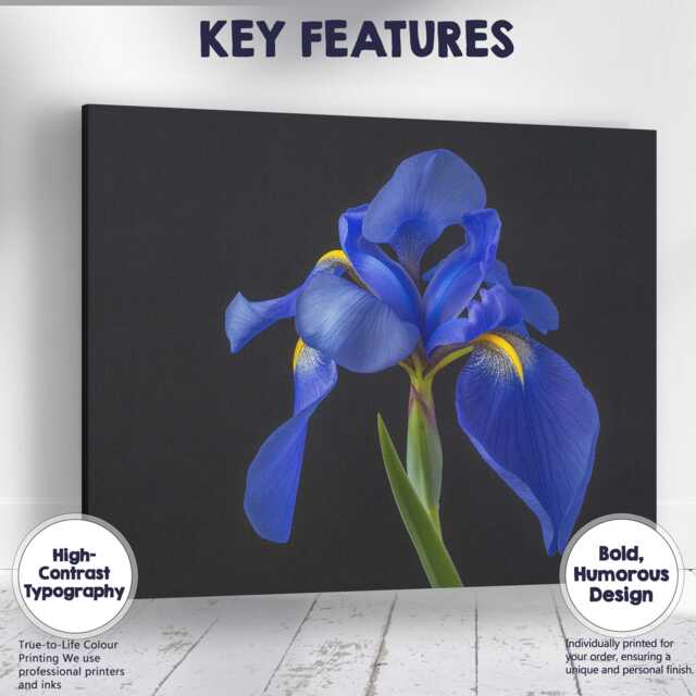 Royal Blue Iris Flower Portrait Dramatic Botanical Photography Canvas Wall Art Print Decor Picture Ready To Hang - image 1