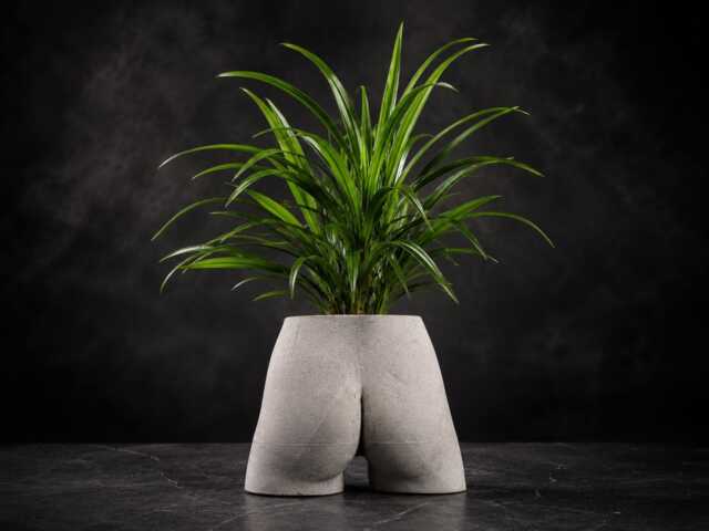 Funny Bum Planter - Cast Stone Plant Pot Quirky Desk Vase - image 1