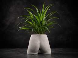 Bum Planter, Quirky Cast Stone Plant Pot