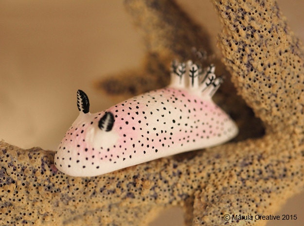 "Unna The Nudibranch - Jorunna Parva ""Sea Bunny" - image 1
