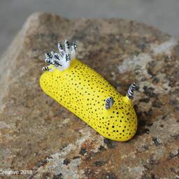 "Unna The Nudibranch - Jorunna Parva ""Sea Bunny" - thumbnail 4