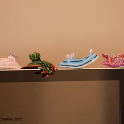 "Unna The Nudibranch - Jorunna Parva ""Sea Bunny" - thumbnail 3