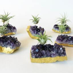 Purple Amethyst Geode Gold Dipped Air Plant Holder Boho Or Zen Home Decor - thumbnail 2