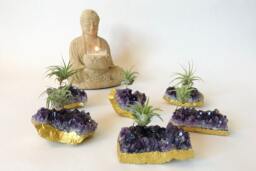 Purple Amethyst Geode Gold Dipped Air Plant Holder Boho Or Zen Home Decor