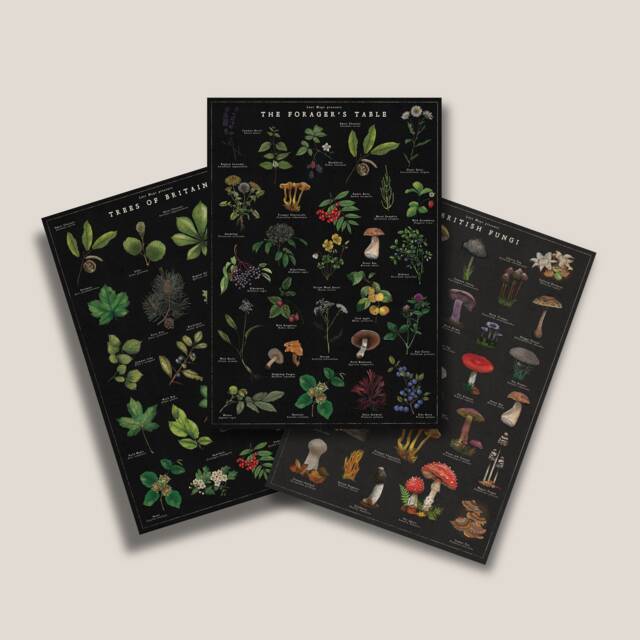 Botanical Print Bundle Noir- British Trees Poster - Fungi Artwork Foraging Illustration - image 1