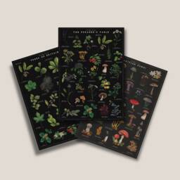 Botanical Print Bundle Noir- British Trees Poster - Fungi Artwork Foraging Illustration - thumbnail 1