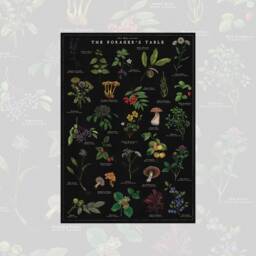 Botanical Print Bundle Noir- British Trees Poster - Fungi Artwork Foraging Illustration - thumbnail 3