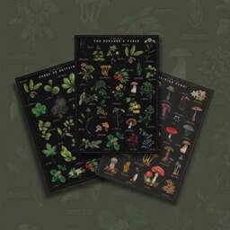 Botanical Print Bundle Noir- British Trees Poster - Fungi Artwork Foraging Illustration - thumbnail 2