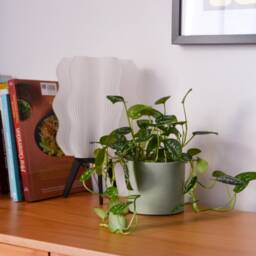Minimalist Concrete Planter Small Apartment & Large Home Decor - thumbnail 3