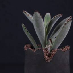 Raw Mineral Concrete Plant Pot, Charcoal Copper Succulent Planter, Crystals Rim - Geode Collection - thumbnail 3