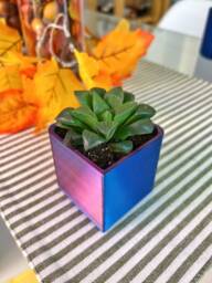 Rainbow Iridescent Planter, Square Succulent Plant Pot, 3D Printed Small Rainbow Cube - thumbnail 1