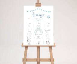 Personalised First Birthday Milestone Poster - Sign About Me Board Digital Download - thumbnail 1